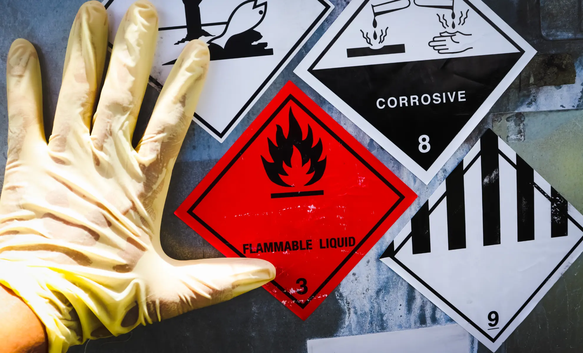Industrial Safety & Risk Management Training Programs